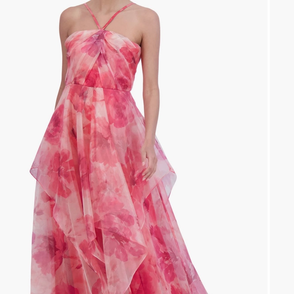 Eliza J Floral A-Line Chiffon Gown